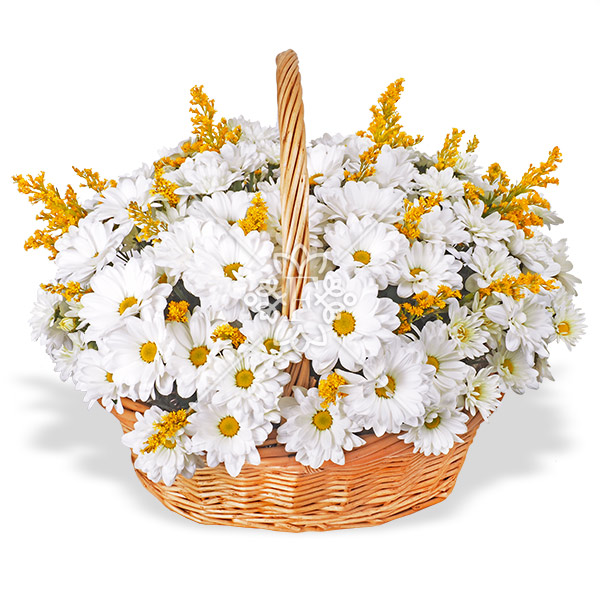 Солнечный блик – корзинка с хризантемами Солнечный блик - корзинка с хризантемами
