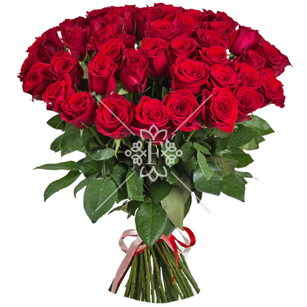 Букет из 51 красной розы Букет из 51 красной розы
